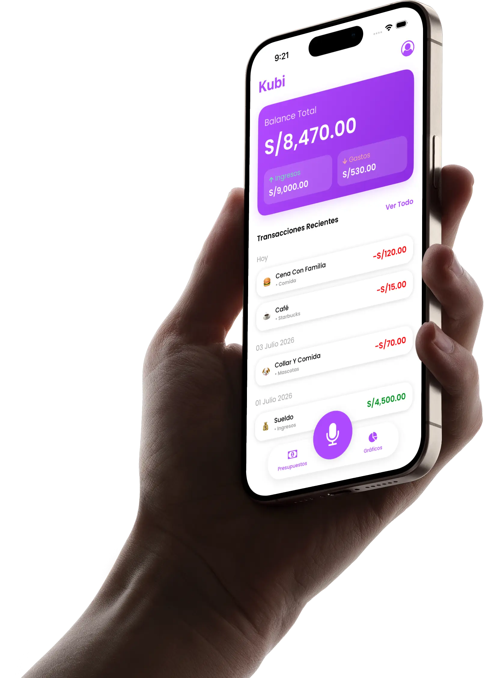 Resumen financiero en Kubi